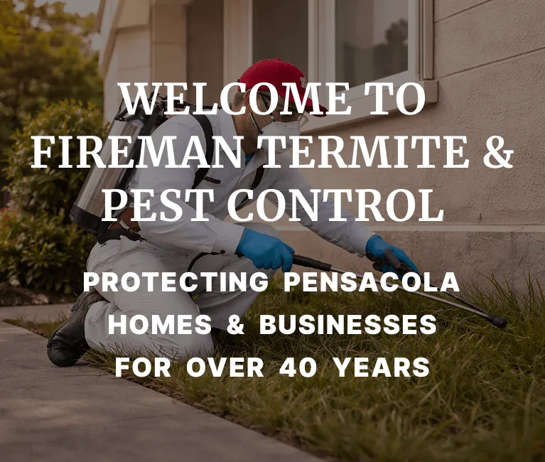 Fireman Termite & Pest Control photo 3